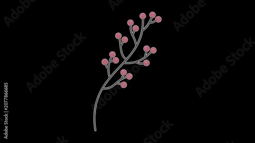 Seamless looping animation of a swaying stem cluster of red rowan berries for autumn concepts. Flat style sticker design element isolated on transparent alpha channel background