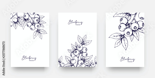 Elegant Blueberry Branch Card Set. Hand Drawn Botanical Ink Vector Illustration for Wedding Invitation, Save the Date Card, Brochure, Cover and Template Design