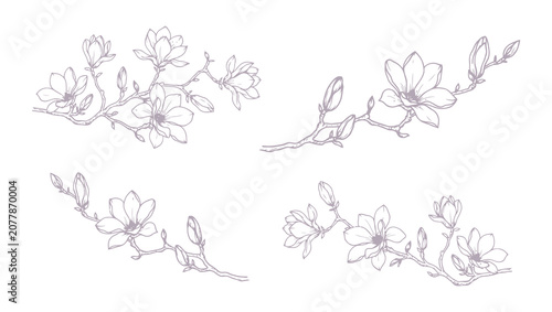 Elegant Sakura Cherry Blossom Collection with Hand Drawn Floral Branches. Detailed Botanical Ink Vector Illustration for Spring Wedding Invitations, Save the Date Cards, Wallpaper and Romantic Station