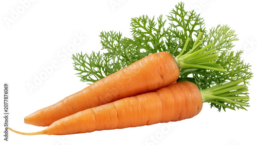 Schilderij op canvas Two fresh orange carrots with green leafy tops, isolated on transparent backgrou