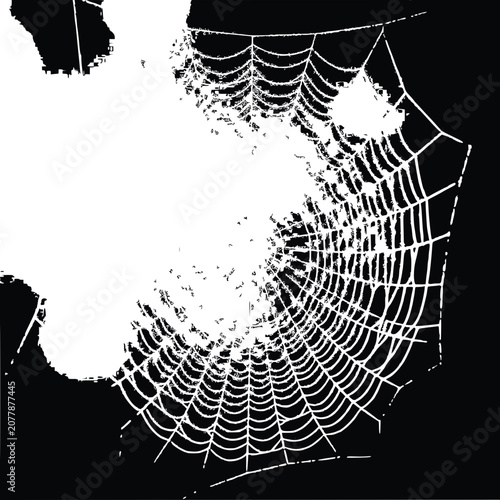 Intricate Spider Web Design on Black Background, Macro Detail