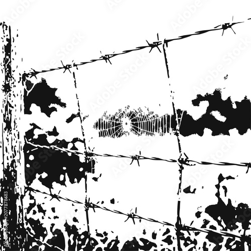 Barbed Wire Fence and Spiderweb