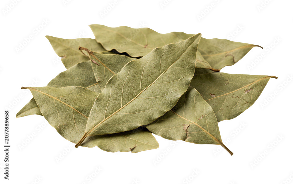 Fototapeta premium Cluster of dried green leaves isolated on transparent background