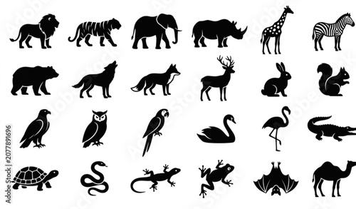 Photography Wild Animal Silhouette Icons Vector Set with Mammals Birds and Reptiles Collecti