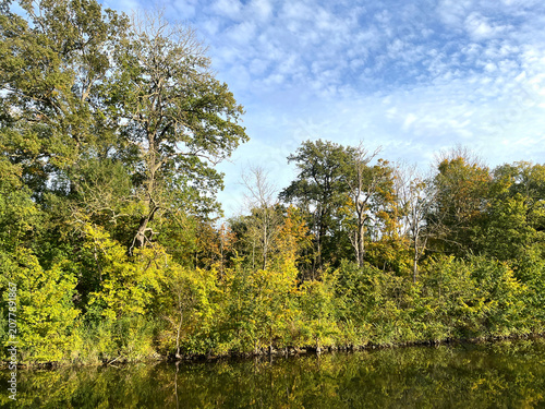 idyllic river landscape seen from a boat in autumn, sunny day, blue sky, trees reflected in the river, a calm river, yellow-green leaves on the trees, beautiful green reflection