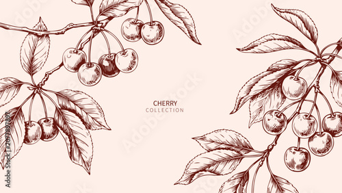 Luxury Sakura Cherry Blossom Background. Vintage Hand Drawn Botanical Ink Vector Illustration for Spring Wedding Invitation, Save the Date Card, Wallpaper and Elegant Floral Design