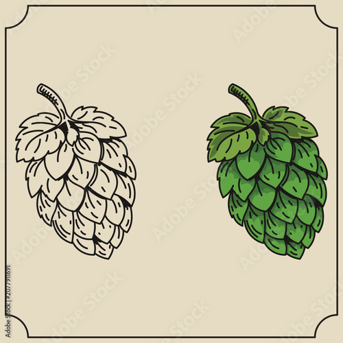 Hand Drawn Green Hop Cone Pack Black Outline and Colored Beer Brewing Ingredient Icons