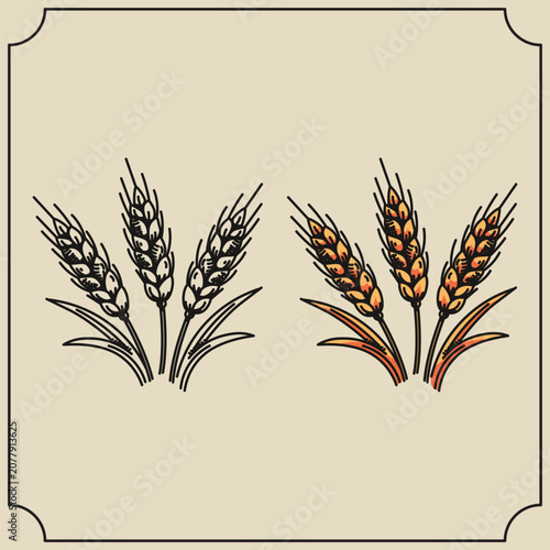 Hand Drawn Wheat Stalks Pack Black Outline and Colored German Cereal Grain Branches