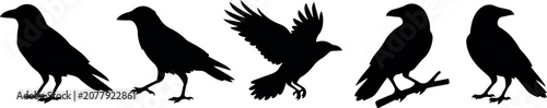 Obraz na plátně Halloween crow silhouettes for spooky decorations and party themes