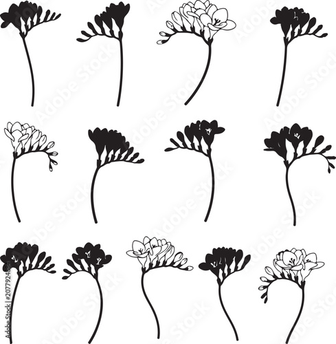 Set of black and white flower silhouettes on white background