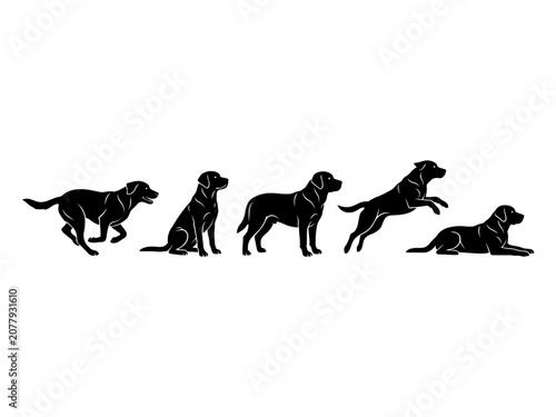 Labrador Retriever Silhouettes in Multiple Poses on White