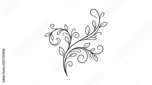 a black and white drawing of a plant.