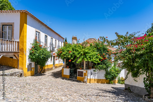 Fényképezés Views around the walled town of obidos Portugal