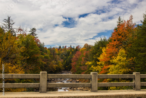 autumn in the park