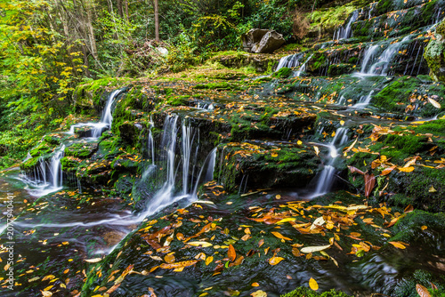 waterfall in the forest