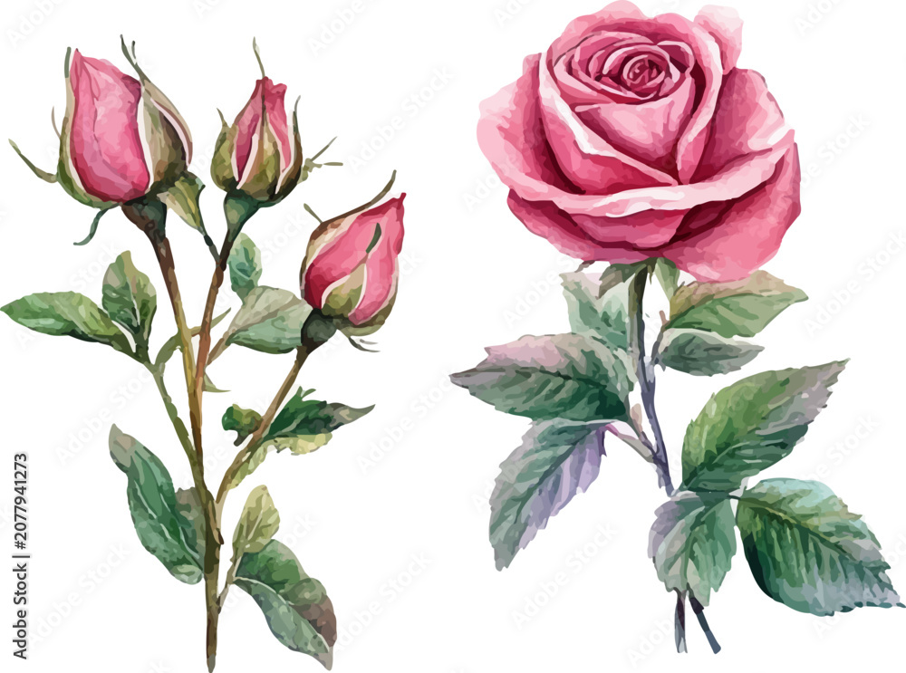 Fototapeta premium bouquet of pink roses