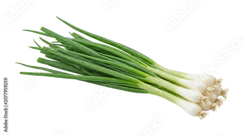 Cuadro en lienzo Fresh green onions bundle with white roots and long green stalks on transparent background for culinary and organic food concepts high quality png image