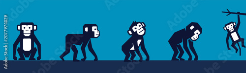 Canvas-taulu Illustration of monkey evolution from ape-like creatures to a modern monkey swinging from a branch