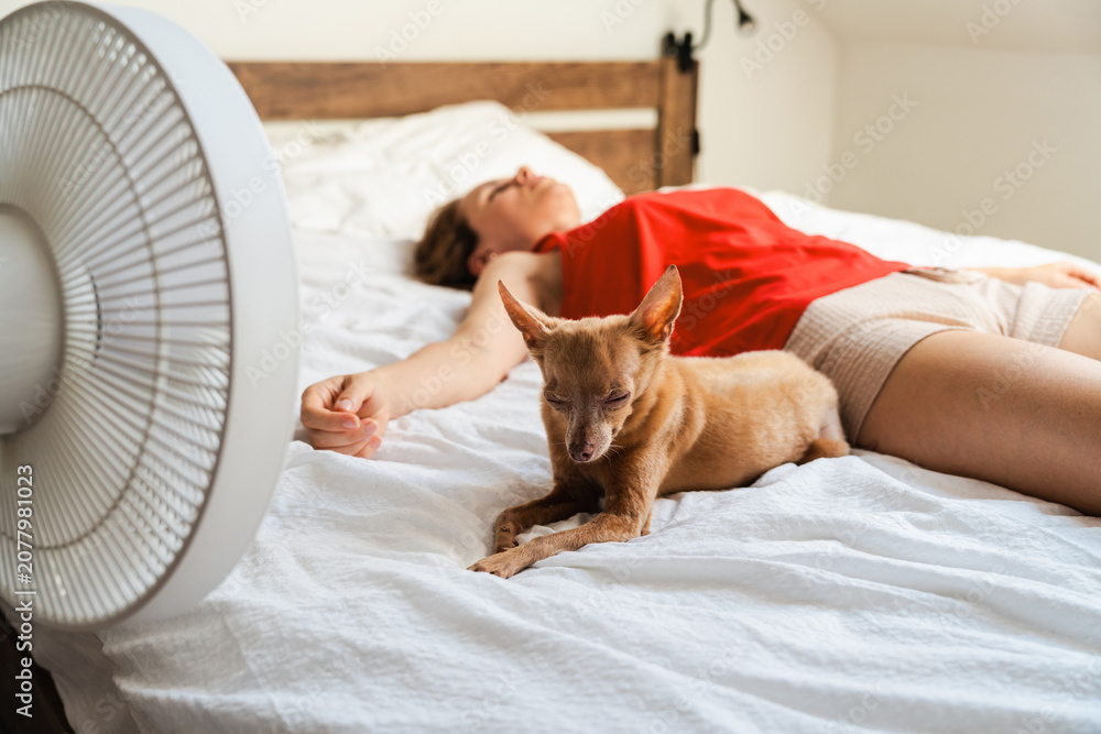 Fototapeta premium Tired woman and her small dog cooling down near electric fan on bed during summer heatwave