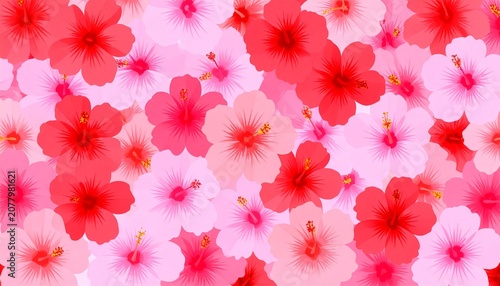 Close-up of vibrant pink cherry blossom petals in bloom.