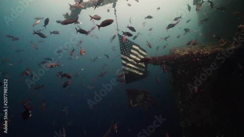 American Flag Hanging from Sunken Shipwreck Surrounded by Fish