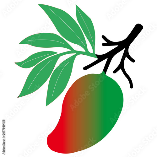 Ripe Mango with Green Leaves Isolated on White Background Minimalist Composition