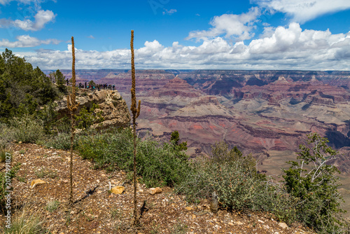 Принти на полотні Grand Canyon