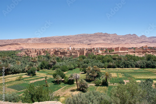 The lush green palm grove of the Tinghir oasis stretches out before the village of Ait-Boujane in Morocco.