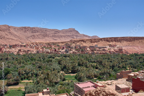 The lush green palm grove of the Tinghir oasis stretches out before the village of Ait-Boujane in Morocco.
