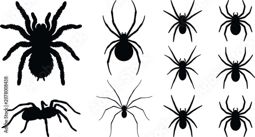 Photos Spooky Black Spider Silhouette Icon Set Featuring Tarantulas Black Widows and Cr