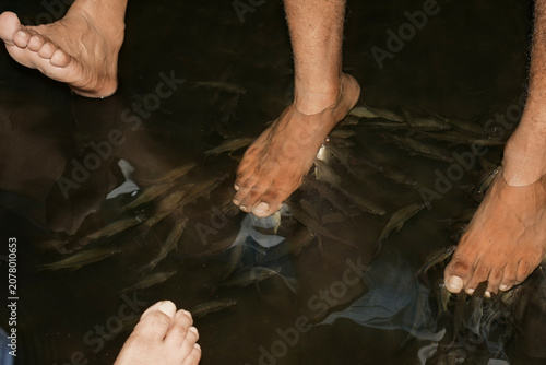 Foto visitors enjoy a natural fish spa experience at suan ta san, where small freshwa