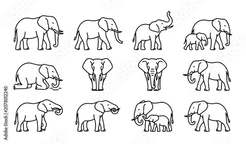 Photography Elephant Outline Collection Featuring Adult Elephants, Baby Elephants and Differ