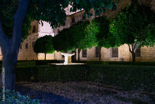 Quadro su tela Vista nocturna del casco histórico de Úbeda, Jaén, España, iluminado con luces c