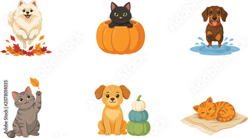 Cute Autumn Cats and Dogs Vector Set Featuring Pets Playing in Autumn Leaves Water Puddles and Pumpkins for Seasonal Greeting Card Designs