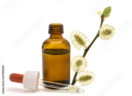 goat willow buds with dropper and glass bottle isolated on white