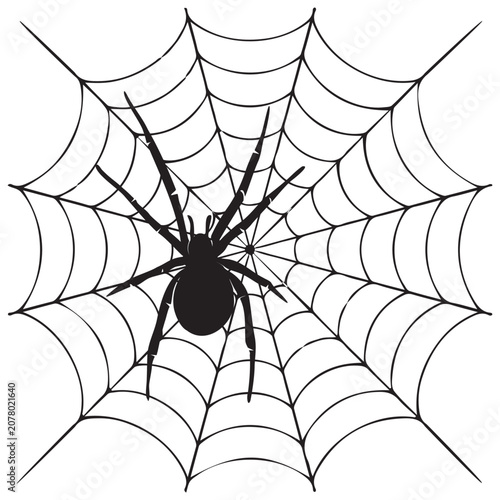 spider on web for halloween