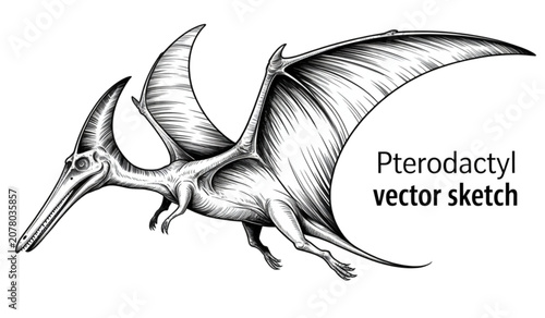 Obraz na plátně Fantasy pterosaur flying over a mountainous landscape with clouds Vector