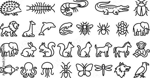 Photography Wild Animals Mammals Insects and Marine Life Line Icon Set Featuring Lion Elepha