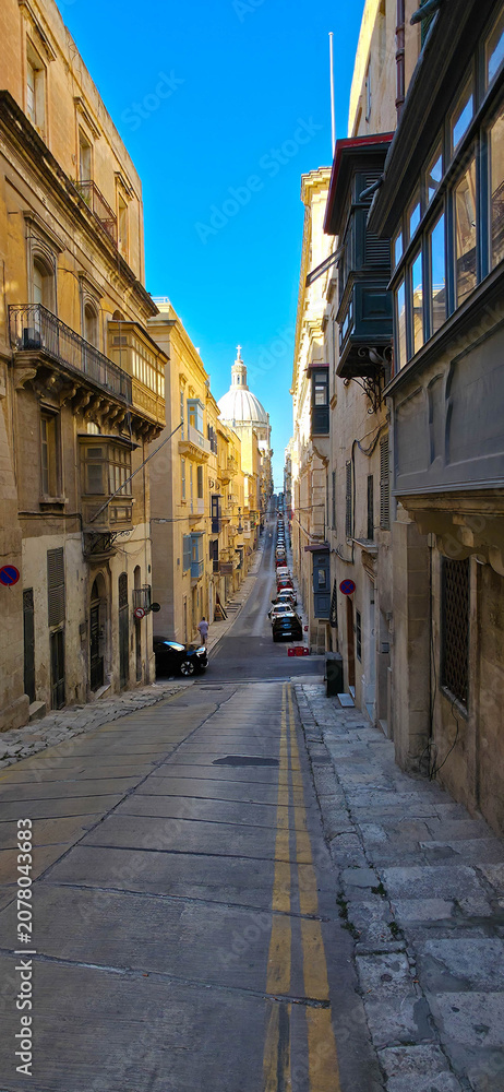 Obraz premium Gallarija Maltija, the Maltese 