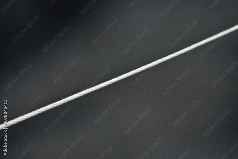 Fototapeta premium A small is sitting on top of a wire, looking around