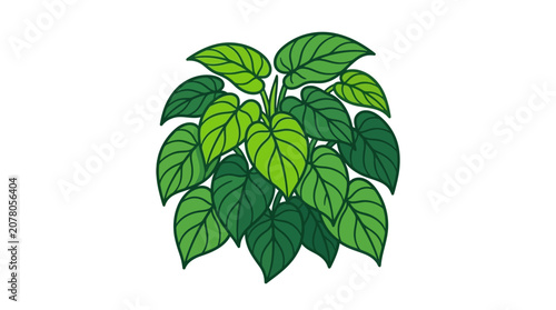 Vibrant Green Houseplant Leaves Illustration
