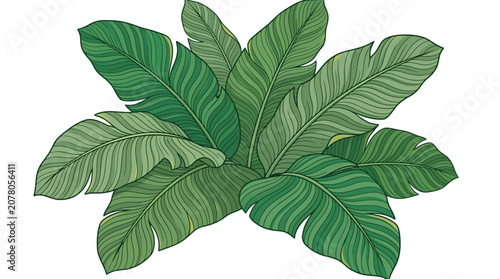 Vibrant Green Tropical Banana Leaves Illustration