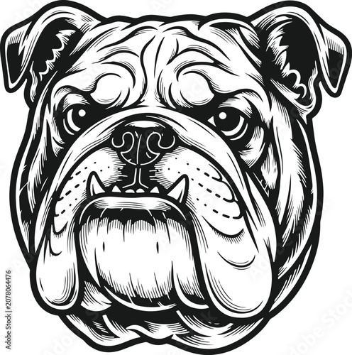 Fotografie Gritty Bulldog Portrait: A striking, stylized illustration captures the fierce and iconic visage of a bulldog, exuding an aura of strength and determination