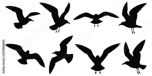 Фотография Collection of eight black seagull silhouettes in various flying poses on white b