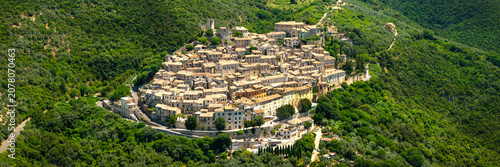 Roccantica Rieti Italy Drone panorama. Cascade houses of medieval borgo townscape isolated among dense green hills no sky scenery. Authentic italian village Old World charm architecture