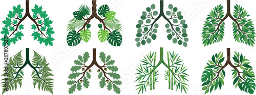 Human lungs shaped with green tree leaves concept icon set representing fresh air breathing nature environment and respiratory health vector illustration