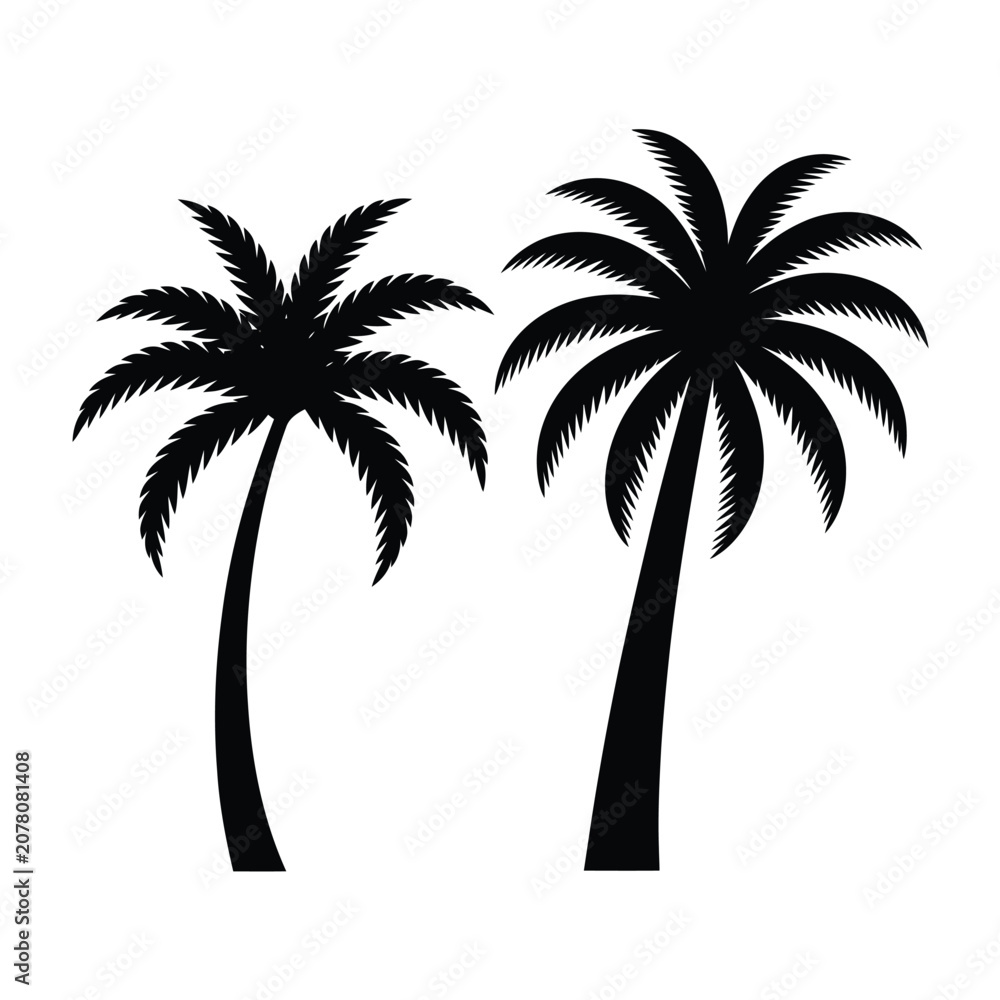 Fototapeta premium Palm tree silhouettes against a white background black and white graphic
