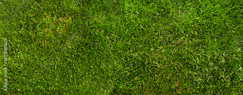 фотографія Panoramic top view grass texture background with natural lawn surface green vege