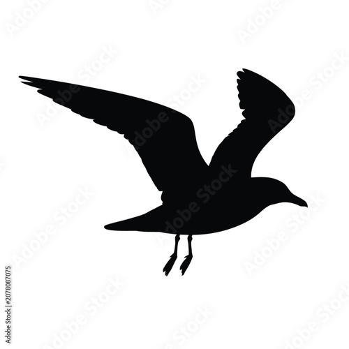Fotografie Sheep Silhouette A Dark Green Graphic Illustration On White Background
