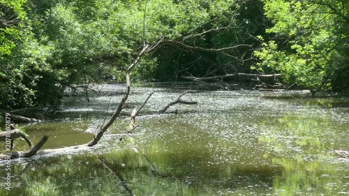 Nature scenics landscape in Ontario public park, Canada